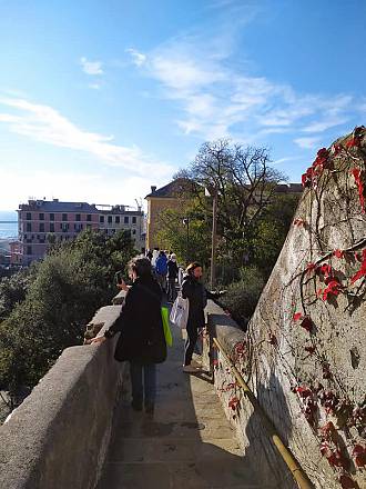 Un’isola medioevale nel cuore di genova - visita accompagnata e degustazione