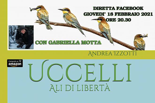 Uccelli, ali di libertà presentazione libro fotografico di andrea izzotti con gabriella motta