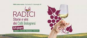 Radici - storie e vini dei colli bolognesi