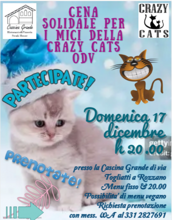 Cena solidale per i mici della crazy cats odv