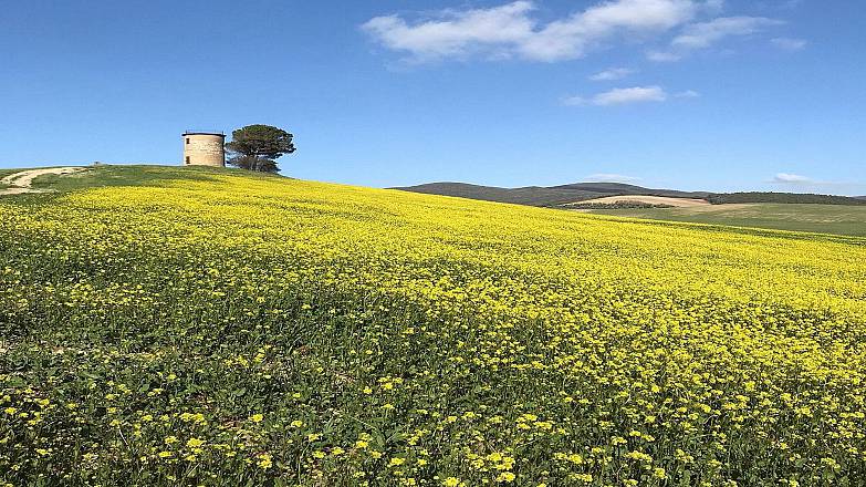 Trekking a la sassa