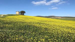 Trekking a la sassa