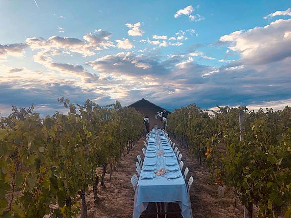 La luna e il ciabot cena in vigna tra i filari del roero e delle langhe