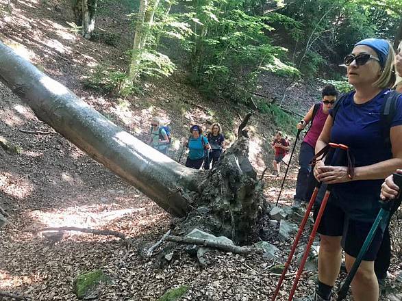 Family trek: il torrente limentra