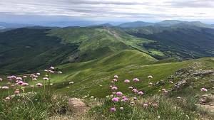 Le fioriture alpine sul libro aperto