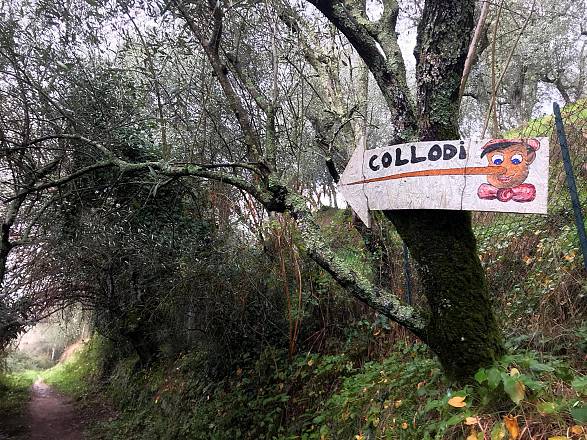 Un'escursione fiabesca a collodi sulle orme di pinocchio