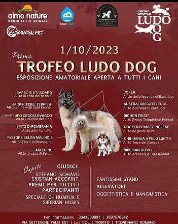Trofeo ludodog esposizione cinofila