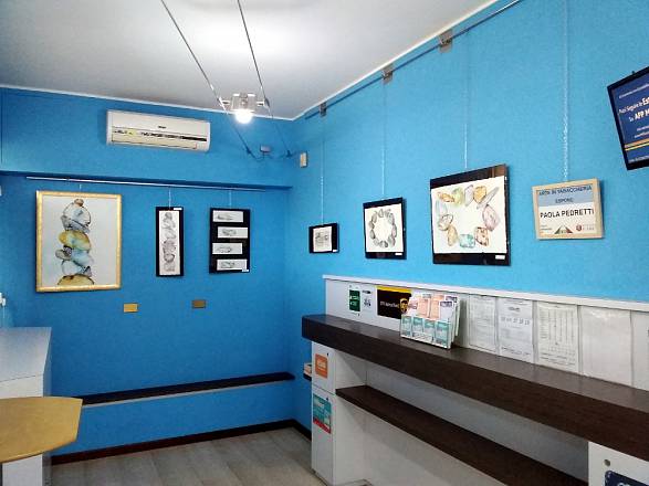 Arte in tabaccheria: paola pedretti