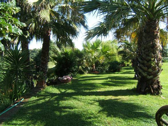 Wellness e arte terapia per bimbi e adulti