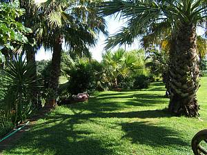 Wellness e arte terapia per bimbi e adulti