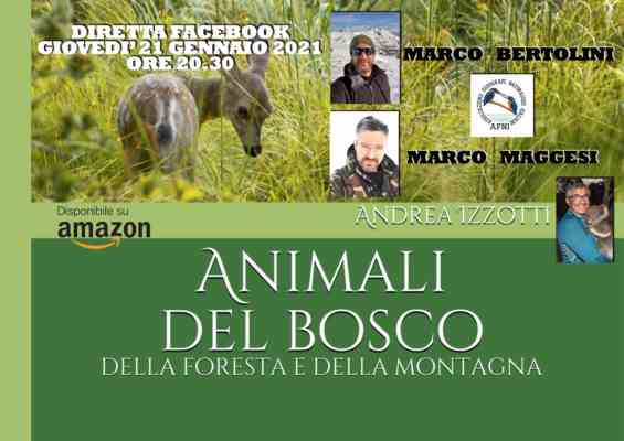 animali del bosco, della foresta e della montagna con marco bertolini e marco maggesi