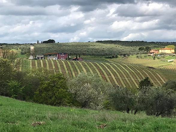 La torre dei sogni e martignana
