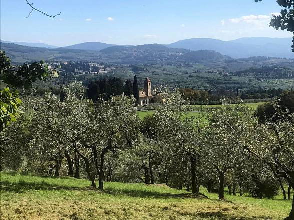 Firenze, lucciolata alle pendici del monte morello