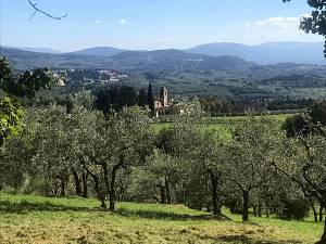 Firenze, lucciolata alle pendici del monte morello