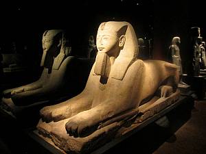 Notturno museo egizio