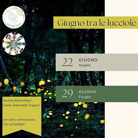 Giugno tra le lucciole