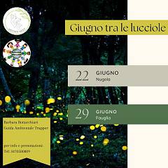 Giugno tra le lucciole