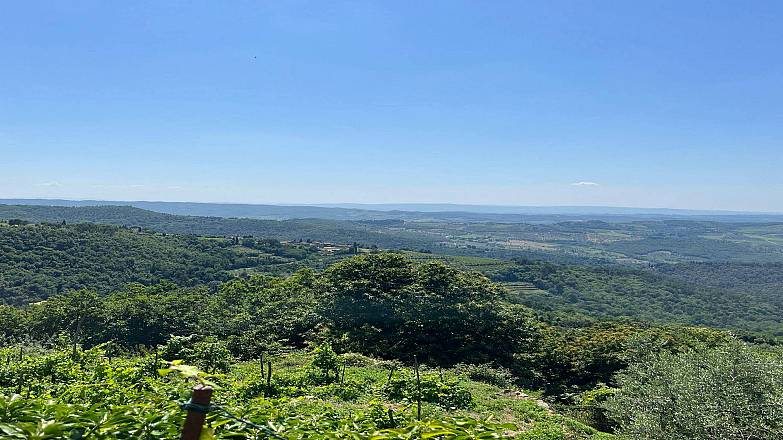 Balconevisi, l'anello del tartufo e del papero