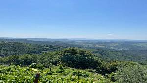 Balconevisi, l'anello del tartufo e del papero