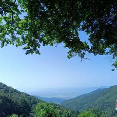 Trekking nel mugello