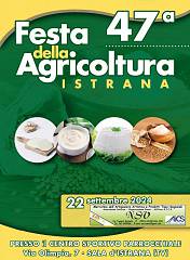 Mercatino della 47^ festa dell'agricoltura