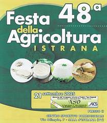 Mercatino della 48^ festa dell'agricoltura