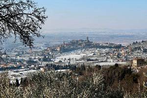 Tour guidato dei segreti del carnevale dei figli di bocco