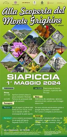 Xii ed.alla scoperta del monte grighine