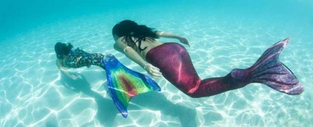 Contro la plastica in fondo al mar a zoomarine arrivano sirene e tritoni, insieme ai laboratori marini della federazione italiana sport acquatici