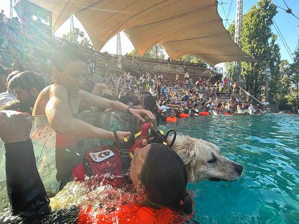 Eroi a 4 zampe salvano la vita sulle spiagge: a zoomarine due giorni con i cani della sics, protagonisti dell'evento in acqua a prova di zampa e di un premio speciale per alcuni eroi con i baffi e la coda.
