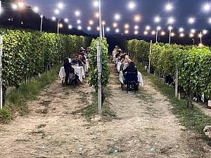 Degustaxione e cena in vigna la originale ad alba