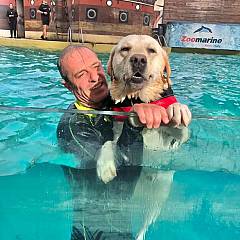 Splash dog per la giornata mondiale del cane a zoomarine