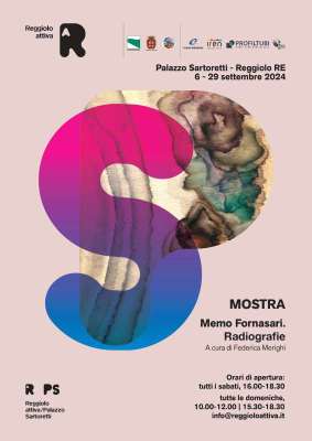 Memo fornasari- radiografie a cura di federica merighi