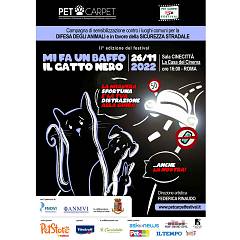 Arriva il festival  mi fa un baffo il gatto nero