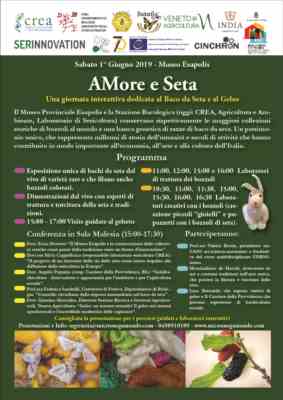Amore e seta