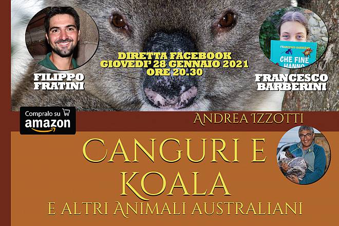 Canguri e koala e altri animali australiani con filippo fratini e francesco barberini