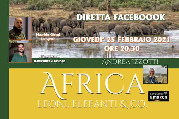 Africa, leoni, elefanti & co.