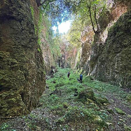 La risalita del pavone