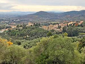 La via etrusca da campiglia marittima a suvereto