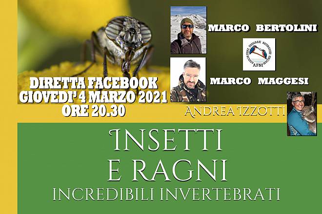 Insetti e ragni, incredibili invertebrati con marco bertolini e marco maggesi di afni liguria
