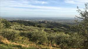 Tour nelle campagne medicee nei dintorni di firenze