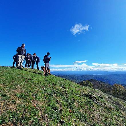 Le terre di pomino e la consuma