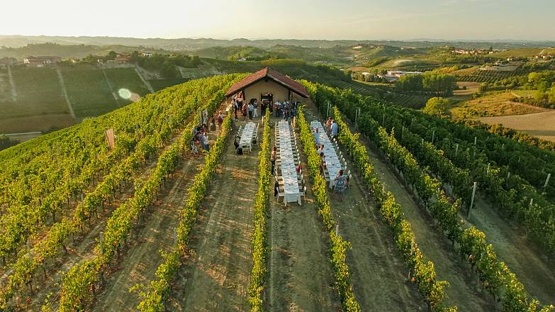 Cena in vigna nel roero la luna e il ciabot 2023