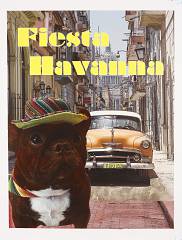 Travel like elliot by robert falcone