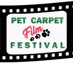 Arriva la penna d'oca del campidoglio, premio eco e pet friendly dedicato a chi fa la diff
