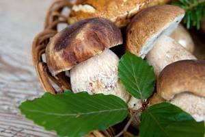 Sabato 1 ottobre ore 20,30 cena dei funghi porcini