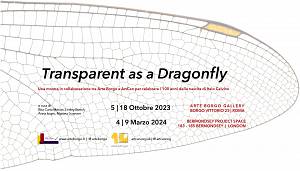 Transparent as a dragonfly
