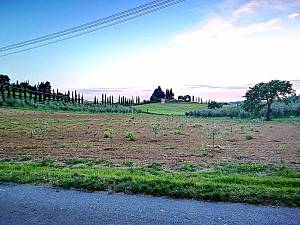 Casale marittimo e la macchia della magona