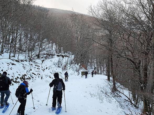 Ciaspolata forestale all’acquerino