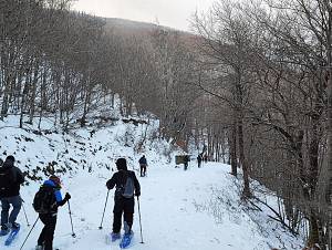 Ciaspolata forestale all'acquerino